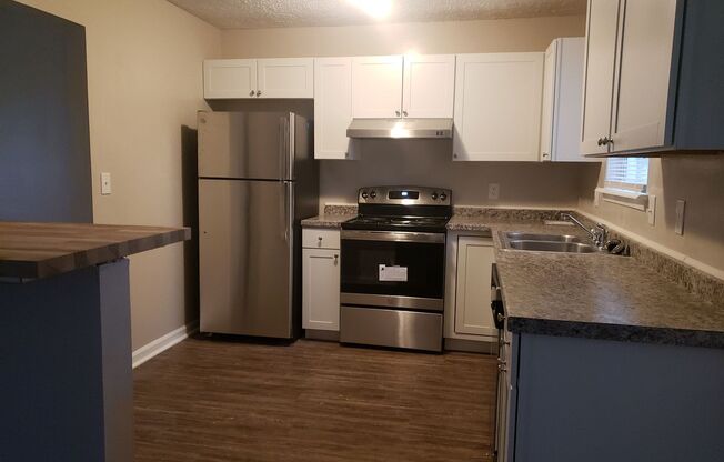 Spacious Ranch-Style 3 Bedroom Home with Bonus room Large back yard!