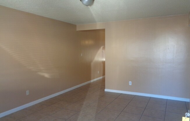 PALM ST 2231 A-L