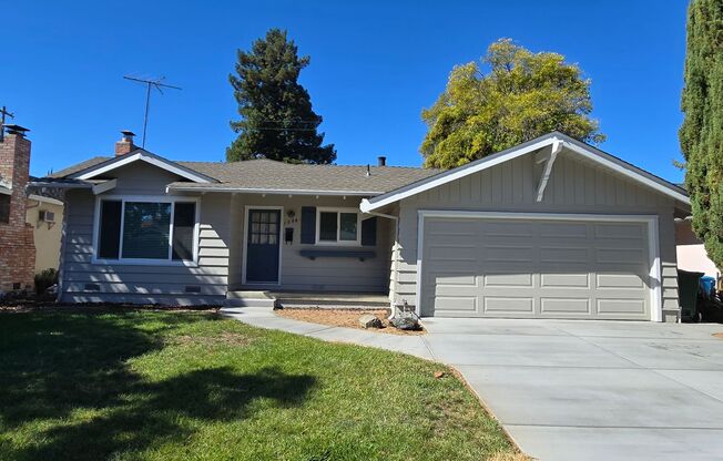 Renovated Home with New Kitchen, Stainless Steel Appliances, Wood Flooring, Fresh Paint, New Driveway, Great Location!