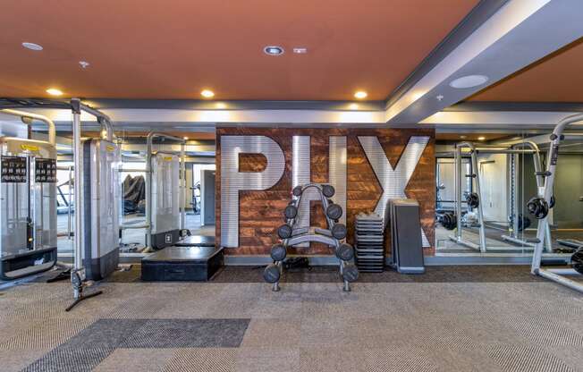 a gym with gym equipment and the word payx on the wall