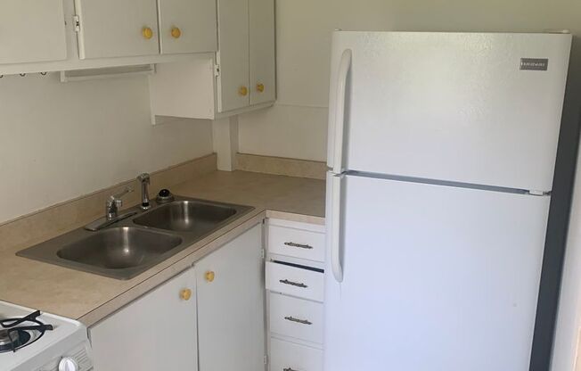 1 bed, 1 bath, $990, Unit 712.5 E. Cottage Grove Ave