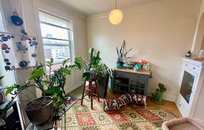 1 bed, 1 bath, $950, Unit 46