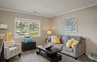 Living Room With Lots Of Natural Light