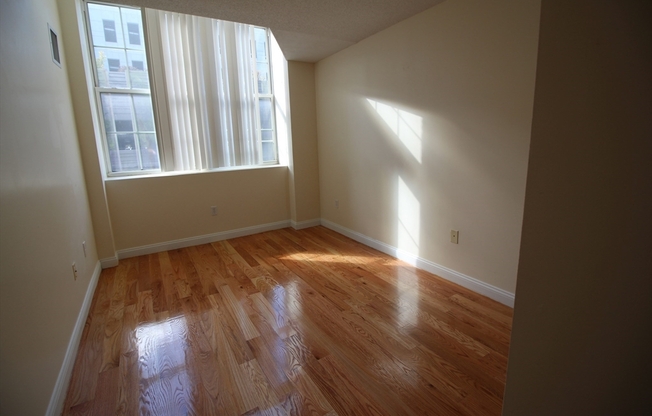 1 bed, 1 bath, 500 sqft, $1,800, Unit 3204