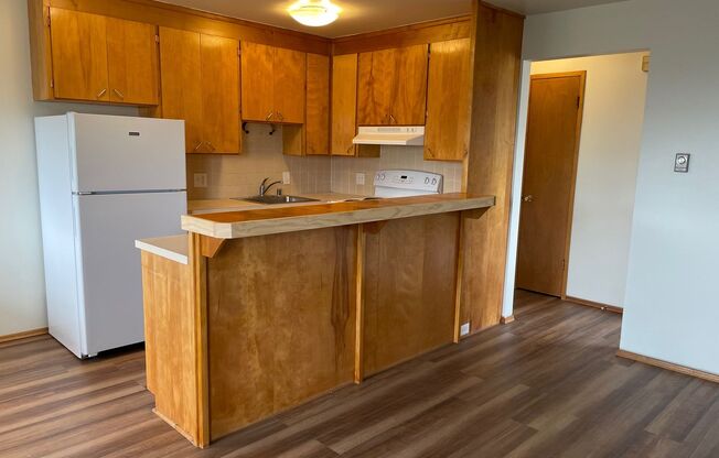 1 bed, 1 bath, 563 sqft, $1,695