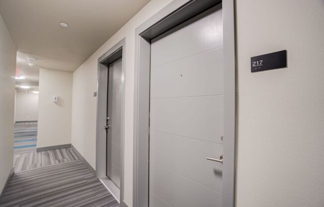 Studio, 1 bath, 316 sqft, $1,495, Unit 306