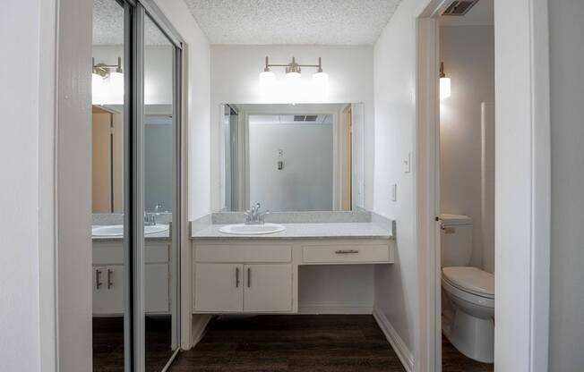 a bathroom with a sink and a toilet and a mirror