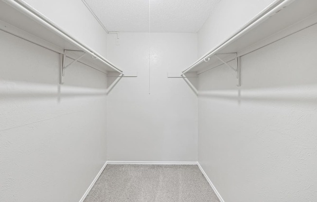 Empty white walk in closet with carpeted floor.
