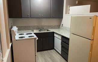 1 bed, 1 bath, $1,195, Unit 4621-10