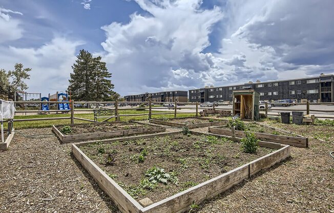 a community garden with beds of plants and a building in the background