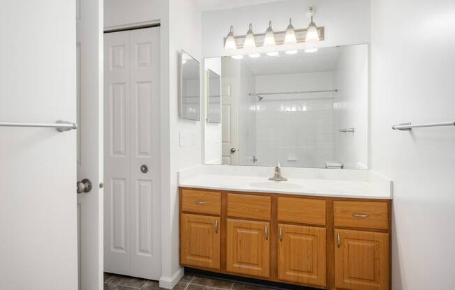 a bathroom with a sink and a mirror and a shower