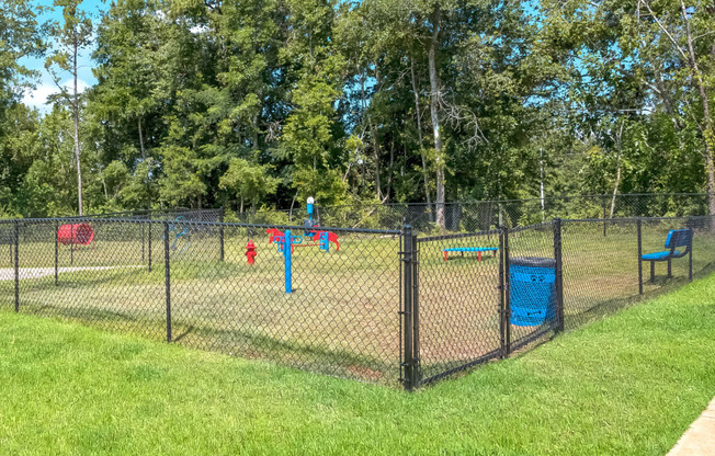 a dog park with agility courses and agility ropes