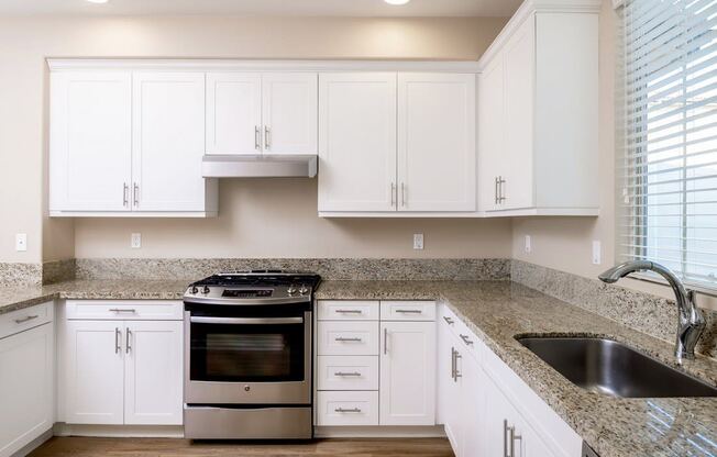 Kitchen Sink at Ocean Air, California, 92130