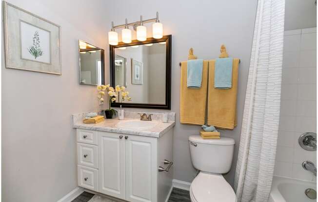 Beautiful Bathroomat Sundance Creek Apartments, McDonough