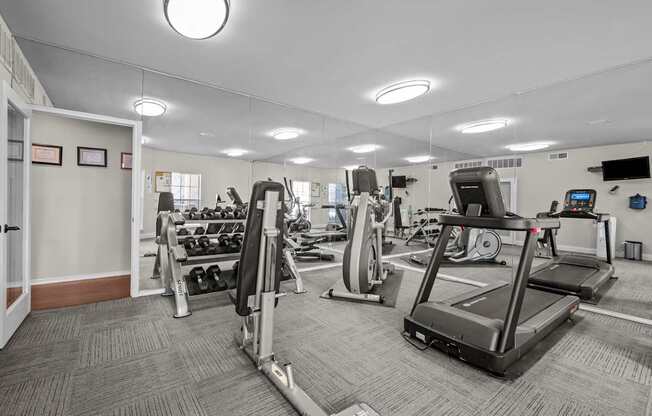 A gym with treadmills, weights, and exercise machines.
