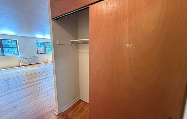 Studio, 1 bath, 487 sqft, $1,250, Unit Fifth 206