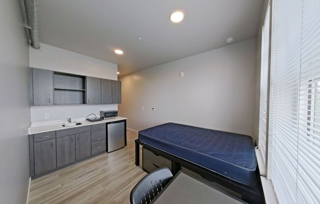 Studio, 1 bath, 261 sqft, $875, Unit 206