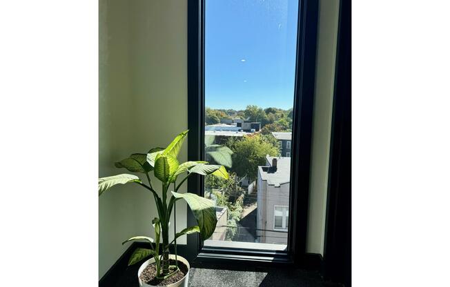 1 bed, 1 bath, 650 sqft, $3,000, Unit 4A