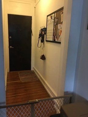 1 bed, 1 bath, 500 sqft, $1,395, Unit 301