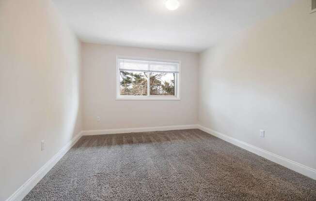 A room with a carpeted floor and a window showing trees outside.