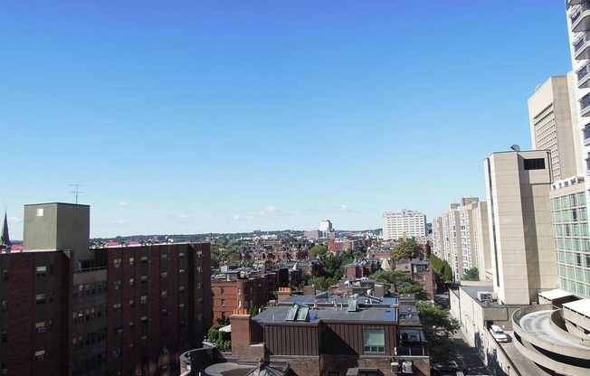 1 bed, 1 bath, 610 sqft, $3,100, Unit 209