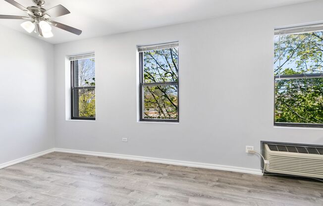 Studio, 1 bath, 242 sqft, $1,500, Unit 307