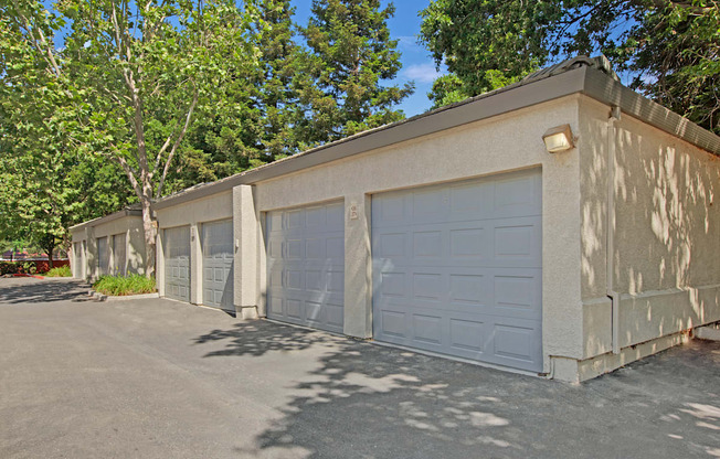 Broadleaf Apartments