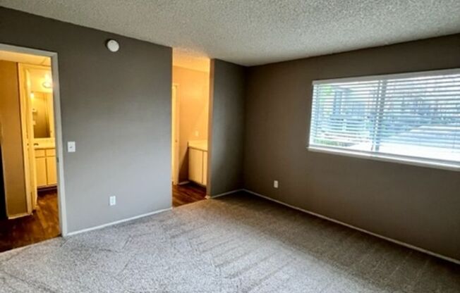 1 bed, 1 bath, 700 sqft, $1,595, Unit 36