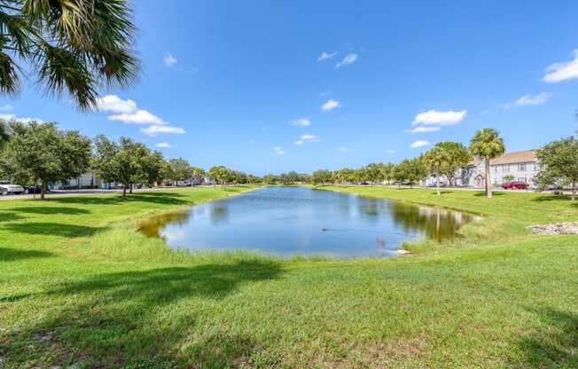 a small pond in a park with palm trees