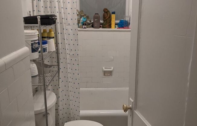 1 bed, 1 bath, 500 sqft, $1,150, Unit 307