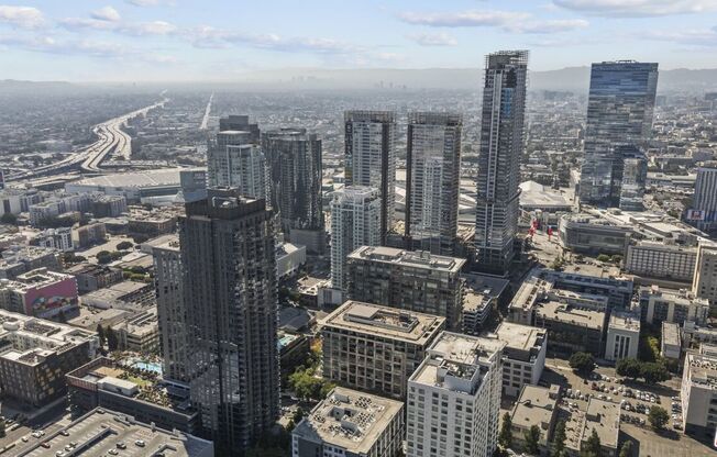 1 bed, 1 bath, 790 sqft, $2,600, Unit 1019