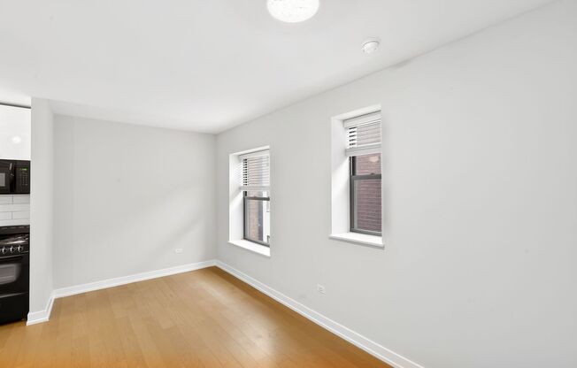 Studio, 1 bath, 238 sqft, $1,485, Unit 303
