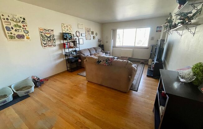 1 bed, 1 bath, $925, Unit 305