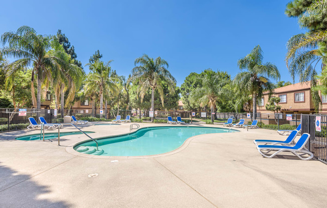 our apartments have a resort style pool with chairs and palm trees