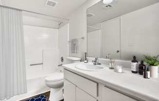 a bathroom with a sink and a toilet and a shower