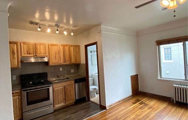 Studio, 1 bath, $859, Unit 203