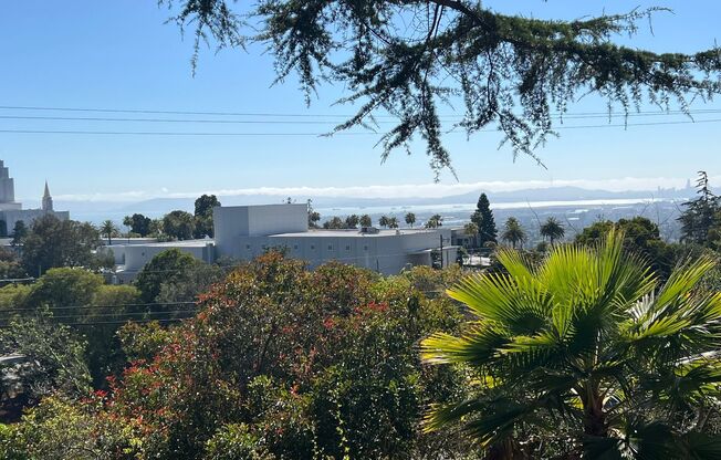 Mid-Century homes Rarely Available with Expansive Bay Views