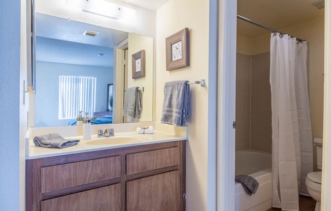 Sycamore Creek Bathroom with Shower Tub Combo