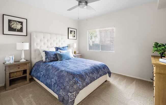 Carpeting in bedrooms - Sonterra Apartments at Paradise Valley
