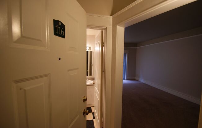 Studio, 1 bath, 423 sqft, $1,150, Unit 116