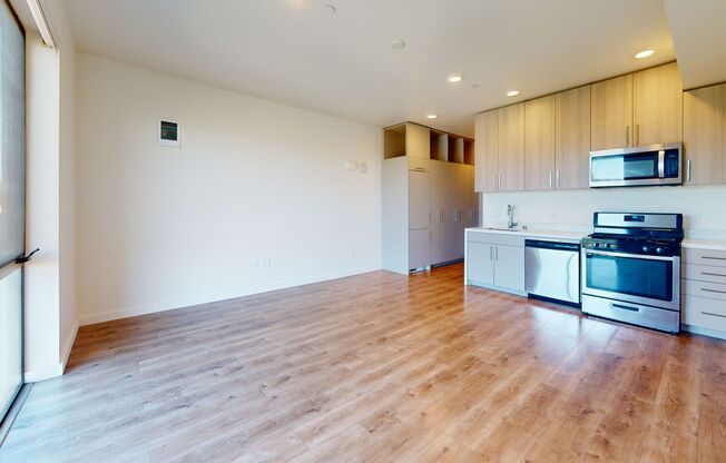 Studio, 1 bath, 463 sqft, $1,900, Unit 419