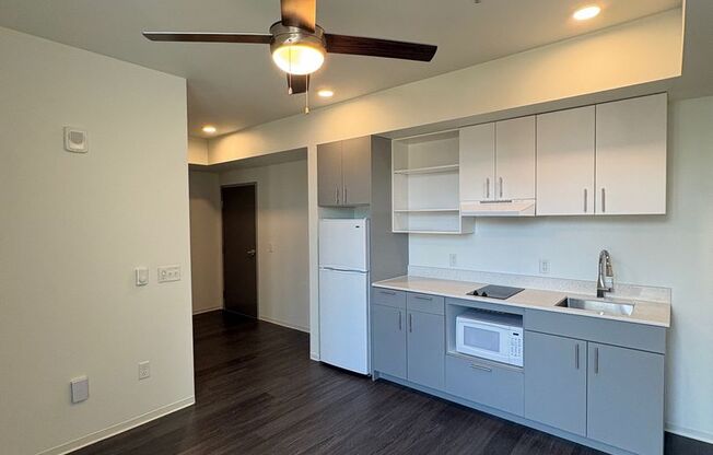 Studio, 1 bath, 236 sqft, $999, Unit 321