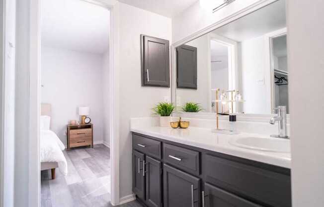 a bathroom with a sink and a mirror