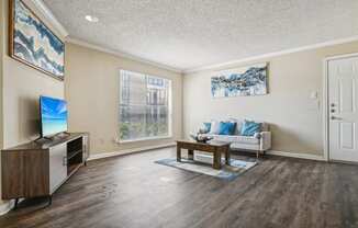 a living room with a couch and a table and a tv