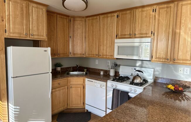 1 bed, 1 bath, 578 sqft, $1,450, Unit F03