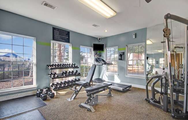 Gym and Fitness Center