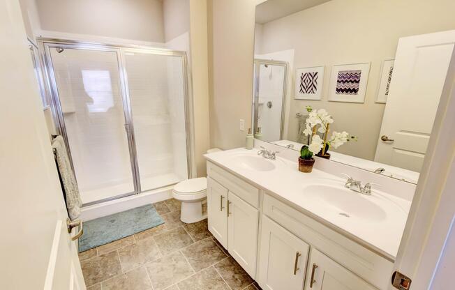 The Pointe at Dorset Crossing - Apartment Living in Simsbury, CT