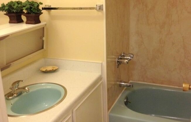 1 bed, 1 bath, 500 sqft, $1,545, Unit 11