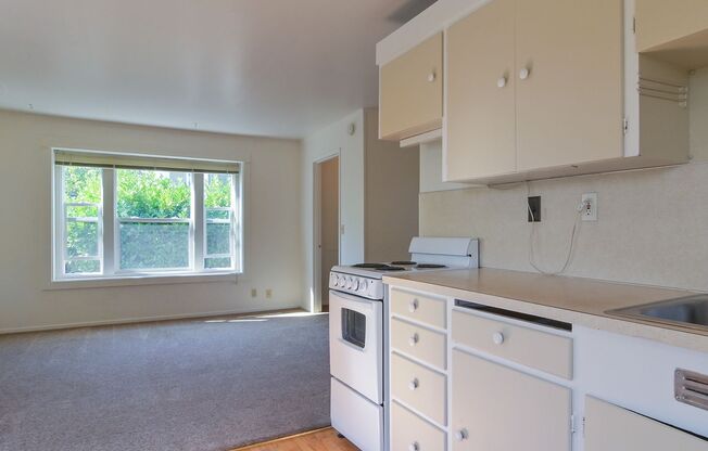 Studio, 1 bath, $1,100, Unit F