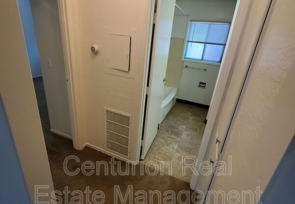 1 bed, 1 bath, 590 sqft, $1,125